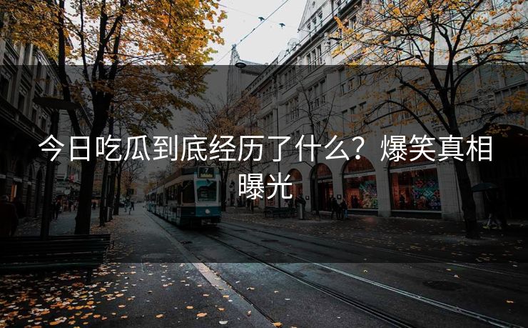 今日吃瓜到底经历了什么？爆笑真相曝光