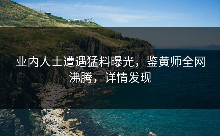 业内人士遭遇猛料曝光，鉴黄师全网沸腾，详情发现