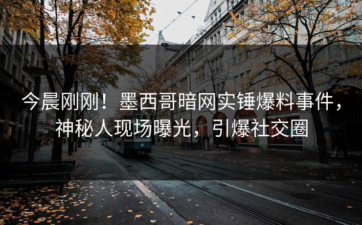 今晨刚刚！墨西哥暗网实锤爆料事件，神秘人现场曝光，引爆社交圈