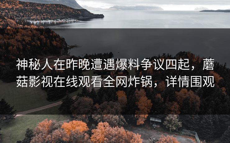 神秘人在昨晚遭遇爆料争议四起，蘑菇影视在线观看全网炸锅，详情围观
