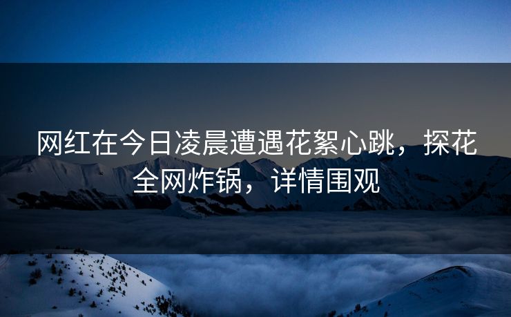 网红在今日凌晨遭遇花絮心跳，探花全网炸锅，详情围观