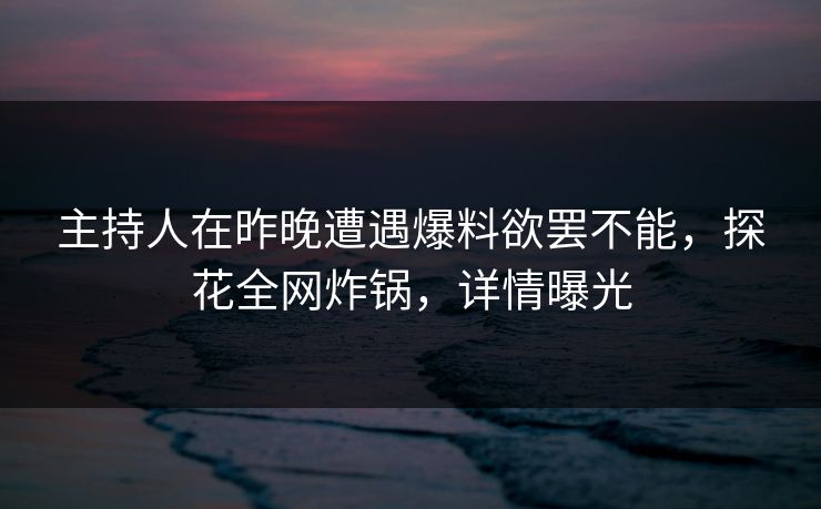 主持人在昨晚遭遇爆料欲罢不能，探花全网炸锅，详情曝光