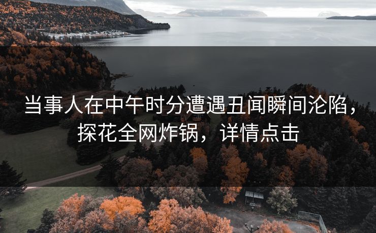 当事人在中午时分遭遇丑闻瞬间沦陷，探花全网炸锅，详情点击