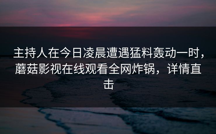 主持人在今日凌晨遭遇猛料轰动一时，蘑菇影视在线观看全网炸锅，详情直击