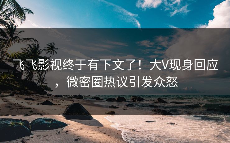 飞飞影视终于有下文了！大V现身回应，微密圈热议引发众怒