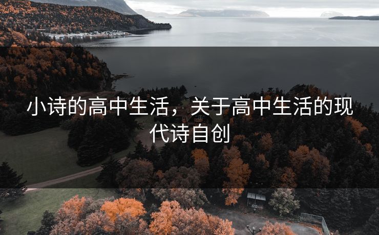 小诗的高中生活，关于高中生活的现代诗自创